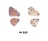  ( - KBGPB257)  @12 [ ] CreativeCommons - Attribution Non-Commercial Share-Alike (2017) Unspecified he Lepidopterists Society of Africa