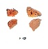  ( - KBGPB116)  @11 [ ] CreativeCommons - Attribution Non-Commercial Share-Alike (2017) Unspecified he Lepidopterists Society of Africa