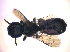  ( - KBGPE53)  @11 [ ] CreativeCommons - Attribution Non-Commercial Share-Alike (2018) Unspecified Agriculatural Research Council