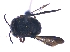  ( - KBGPE240)  @11 [ ] CreativeCommons - Attribution Non-Commercial Share-Alike (2018) Unspecified Agriculatural Research Council