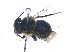  ( - KBGPE214)  @11 [ ] CreativeCommons - Attribution Non-Commercial Share-Alike (2018) Unspecified Agriculatural Research Council
