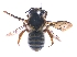  ( - KBGPE232)  @11 [ ] CreativeCommons - Attribution Non-Commercial Share-Alike (2018) Unspecified Agriculatural Research Council