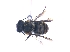  ( - KBGPE228)  @11 [ ] CreativeCommons - Attribution Non-Commercial Share-Alike (2018) Unspecified Agriculatural Research Council