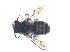  ( - KBGPE229)  @11 [ ] CreativeCommons - Attribution Non-Commercial Share-Alike (2018) Unspecified Agriculatural Research Council