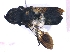  ( - KBGPE99)  @11 [ ] CreativeCommons - Attribution Non-Commercial Share-Alike (2018) Unspecified Agriculatural Research Council