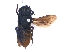  ( - KBGPE93)  @11 [ ] CreativeCommons - Attribution Non-Commercial Share-Alike (2018) Unspecified Agriculatural Research Council