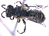  ( - KBGPE186)  @11 [ ] CreativeCommons - Attribution Non-Commercial Share-Alike (2018) Unspecified Agriculatural Research Council