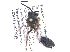  ( - KBGPE184)  @11 [ ] CreativeCommons - Attribution Non-Commercial Share-Alike (2018) Unspecified Agriculatural Research Council
