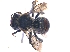  ( - KBGPE193)  @13 [ ] CreativeCommons - Attribution Non-Commercial Share-Alike (2018) Unspecified Agriculatural Research Council