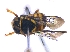  ( - KBGPE124)  @11 [ ] CreativeCommons - Attribution Non-Commercial Share-Alike (2018) Unspecified Agriculatural Research Council