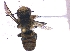  ( - KBGPE171)  @11 [ ] CreativeCommons - Attribution Non-Commercial Share-Alike (2018) Unspecified Agriculatural Research Council