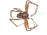  ( - KBGPS51)  @11 [ ] CreativeCommons - Attribution Non-Commercial Share-Alike (2018) Unspecified National Collection of Arachnida (NCA)
