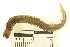  ( - 11BIOAK-0851)  @13 [ ] CreativeCommons - Attribution (2011) CBG Photography Group Centre for Biodiversity Genomics