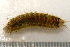  ( - 11BIOAK-1062)  @12 [ ] CreativeCommons - Attribution (2011) BOLD Centre for Biodiversity Genomics