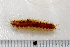  ( - 11BIOAK-1066)  @13 [ ] CreativeCommons - Attribution (2011) BOLD Centre for Biodiversity Genomics