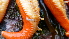  ( - 11BIOAK-1180)  @12 [ ] CreativeCommons - Attribution (2011) BOLD Centre for Biodiversity Genomics