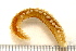  ( - 11BIOAK-1186)  @13 [ ] CreativeCommons - Attribution (2011) BOLD Centre for Biodiversity Genomics