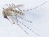  ( - 14702-CxdutH11)  @13 [ ] Copyright (2012) Yvonne U Ajamma icipe