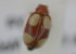  ( - NMK-ENTO 2192)  @11 [ ] Unspecified (default): All Rights Reserved  Unspecified Unspecified
