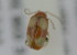  ( - NMK-ENTO 2193)  @11 [ ] Unspecified (default): All Rights Reserved  Unspecified Unspecified