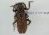 ( - NMK-ENTO 2207)  @11 [ ] Unspecified (default): All Rights Reserved  Unspecified Unspecified