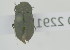  ( - NMK-ENTO 2291)  @11 [ ] Unspecified (default): All Rights Reserved  Unspecified Unspecified