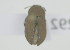  ( - NMK-ENTO 2292)  @11 [ ] Unspecified (default): All Rights Reserved  Unspecified Unspecified