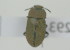  ( - NMK-ENTO 2293)  @11 [ ] Unspecified (default): All Rights Reserved  Unspecified Unspecified