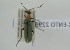  ( - NMK-ENTO 2299)  @11 [ ] Unspecified (default): All Rights Reserved  Unspecified Unspecified
