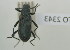  ( - NMK-ENTO 2343)  @11 [ ] Unspecified (default): All Rights Reserved  Unspecified Unspecified