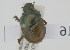  ( - NMK-ENTO 2416)  @11 [ ] Unspecified (default): All Rights Reserved  Unspecified Unspecified
