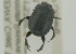  ( - NMK-ENTO 2443)  @11 [ ] Unspecified (default): All Rights Reserved  Unspecified Unspecified