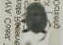  ( - NMK-ENTO 2445)  @11 [ ] Unspecified (default): All Rights Reserved  Unspecified Unspecified