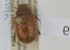  ( - NMK-ENTO 2569)  @11 [ ] Unspecified (default): All Rights Reserved  Unspecified Unspecified