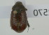  ( - NMK-ENTO 2570)  @11 [ ] Unspecified (default): All Rights Reserved  Unspecified Unspecified