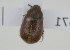  ( - NMK-ENTO 2571)  @11 [ ] Unspecified (default): All Rights Reserved  Unspecified Unspecified