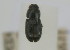  ( - NMK-ENTO 2601)  @11 [ ] Unspecified (default): All Rights Reserved  Unspecified Unspecified