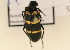  ( - TT 057)  @13 [ ] Copyright (2011) NMK National Museums of Kenya