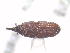  ( - 13322-SiorC10)  @11 [ ] Copyright (2012) Fabian Haas icipe