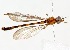  ( - 19700VermA5)  @11 [ ] Copyright (2013) RS Copeland Unspecified