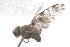  ( - 08758-TephD3)  @12 [ ] Copyright (2011) RS Copeland Unspecified