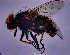  ( - KEIB_DIP_02036)  @11 [ ] by-nc (2021) Krzysztof Szpila Nicolaus Copernicus University