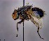  ( - KEIB_DIP_02140)  @11 [ ] by-nc (2021) Krzysztof Szpila Nicolaus Copernicus University