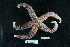  ( - PTK8_3.2)  @11 [ ] Unspecified (default): All Rights Reserved  Unspecified Unspecified
