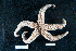  ( - PTK8_3.2)  @11 [ ] Unspecified (default): All Rights Reserved  Unspecified Unspecified