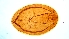  ( - KERWY13)  @11 [ ] Copy right (2025) Nimisha A M KAU