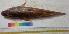  ( - DVD11)  @13 [ ] Copyright (2014) PHCDBS Paul Hebert Centre For DNA Barcoding And Biodiversity Studies