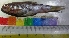  ( - HIP34)  @11 [ ] Copyright (2014) PHCDBS PAULHEBERT CENTER FOR DNA BARCODIND AND BIODIVERSITY STUDIES