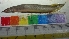  ( - HIP6)  @11 [ ] Copyright (2014) PHCDBS PAULHEBERT CENTER FOR DNA BARCODIND AND BIODIVERSITY STUDIES