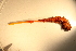  ( - MLI-035)  @12 [ ] Unspecified (default): All Rights Reserved  Unspecified Unspecified